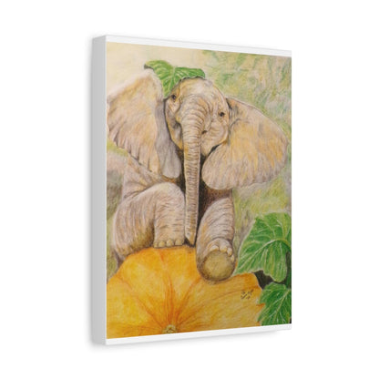 Elephant Squash on Canvas