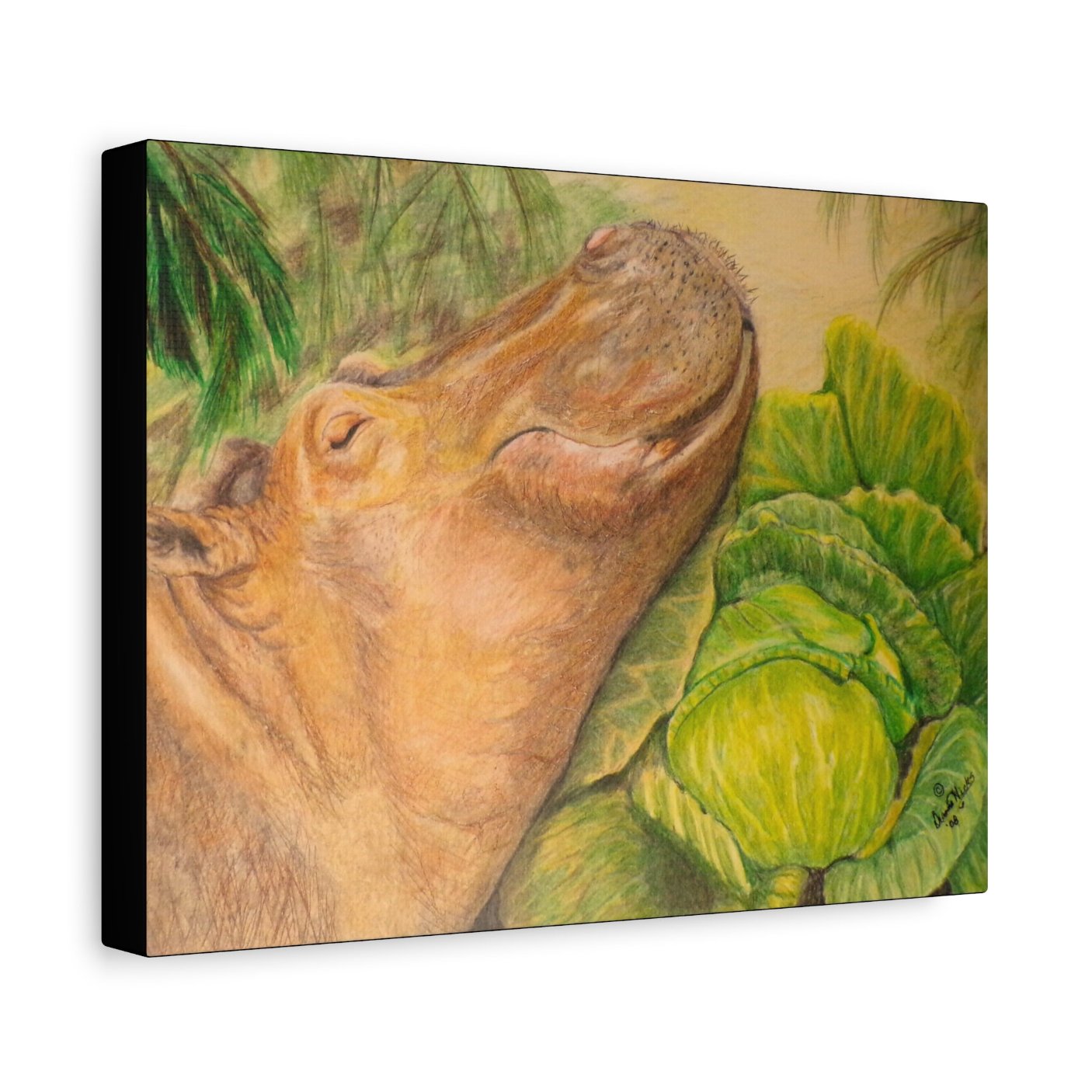 Hippo Cabbage on Canvas