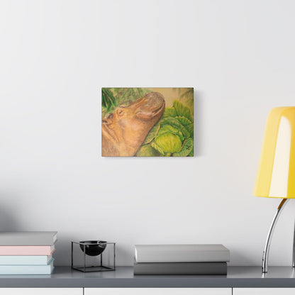 Hippo Cabbage on Canvas