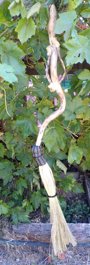 Broom Willow Vine