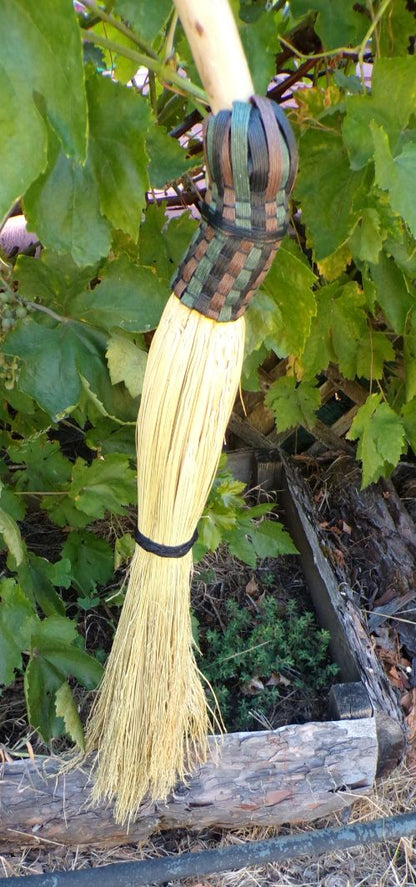 Broom Willow Vine