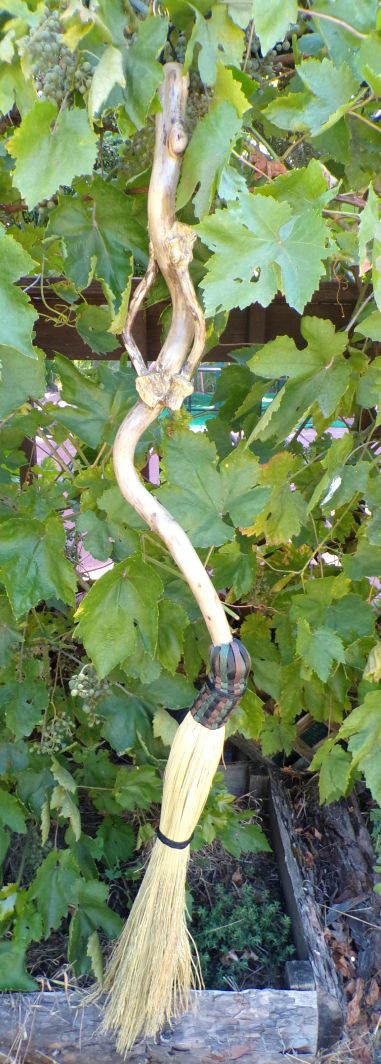 Broom Willow Vine
